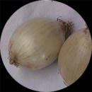 cebolla5B834F.jpg (9634 bytes)