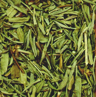 Ajedrea hojas