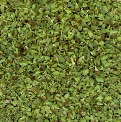 Organo hojas