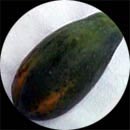papaya5B834F.jpg (11149 bytes)