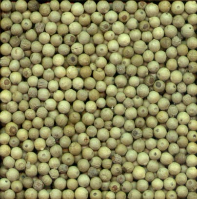 Pimienta blanca granos