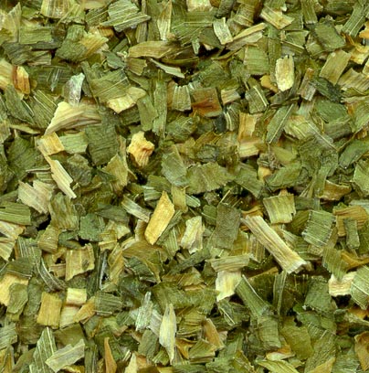 Puerro escamas