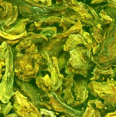 Repollo escamas